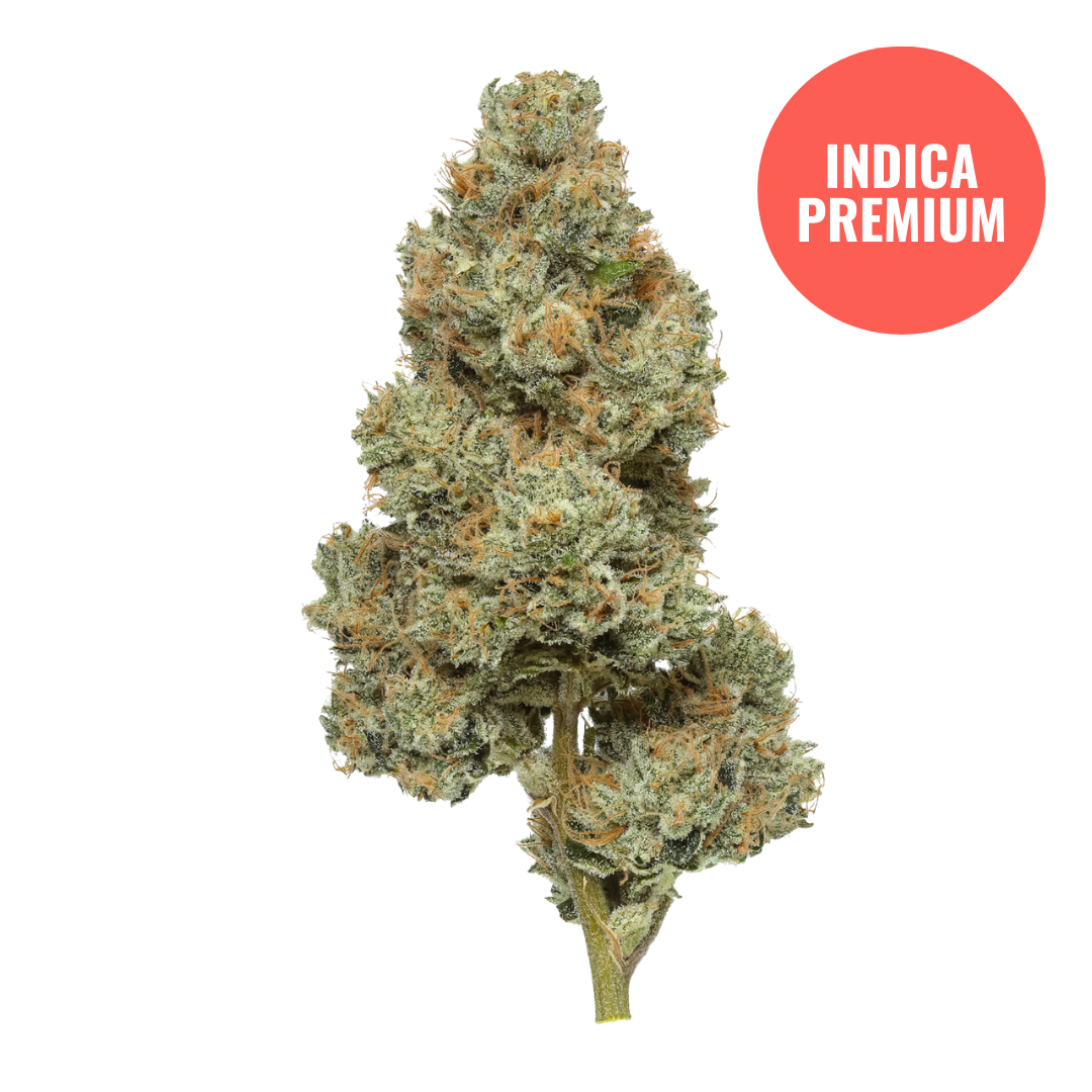 THCA Flower Premium Permanent Marker (Indica) / 3.5G (Reg. Price $35)